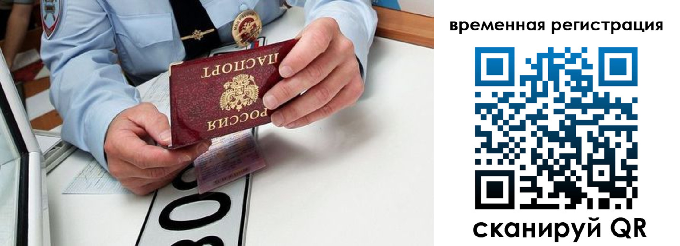 прописка гарантия в Дедовске